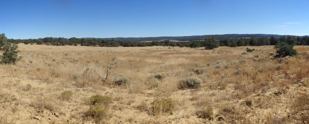 GDMBR: Looking northwest across York Ranch.